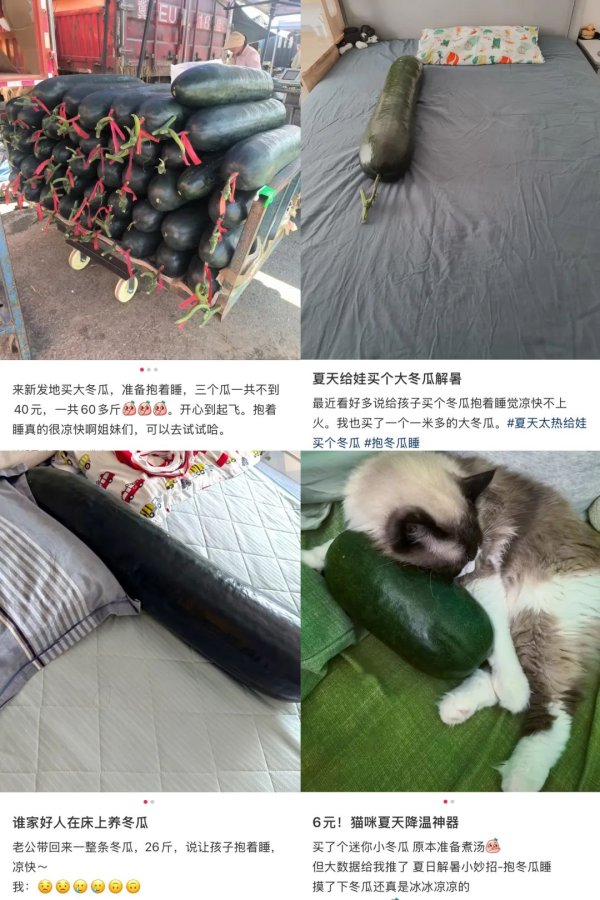 城中投资 突然火了！20多斤一个，一天能卖25吨！“没现货，要预订……”