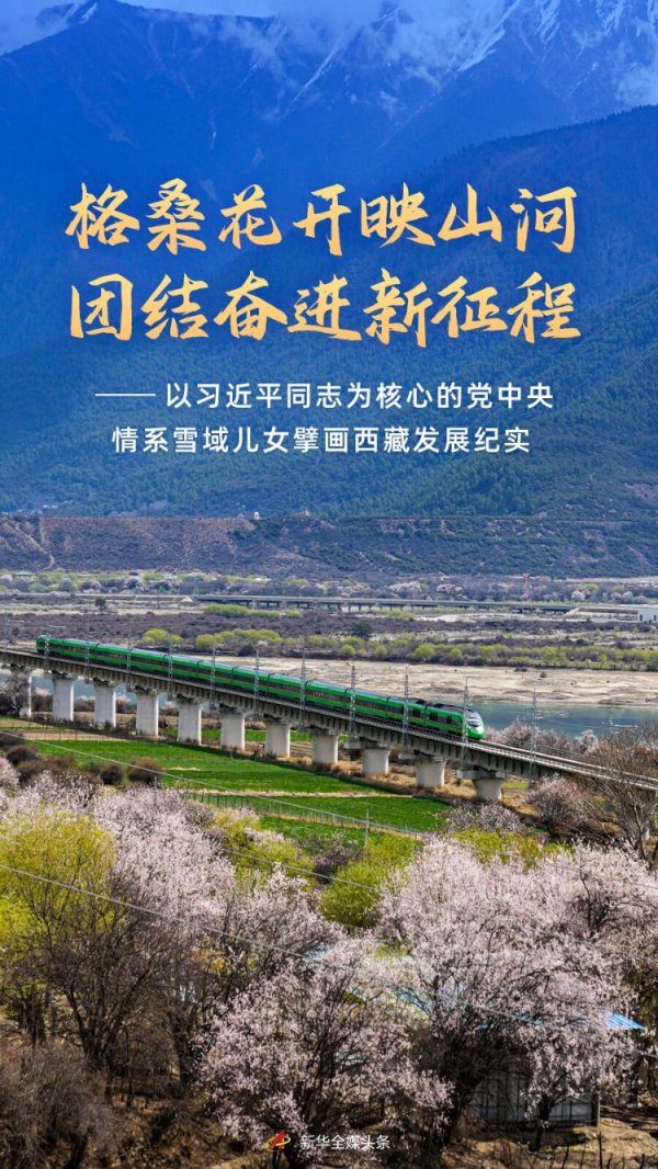 大通证券 格桑花开映山河 团结奋进新征程——以习近平同志为核心的党中央情系雪域儿女擘画西藏发展纪实