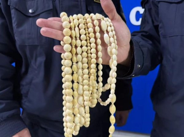 红领金服 青岛海关查获象牙制品共计858克